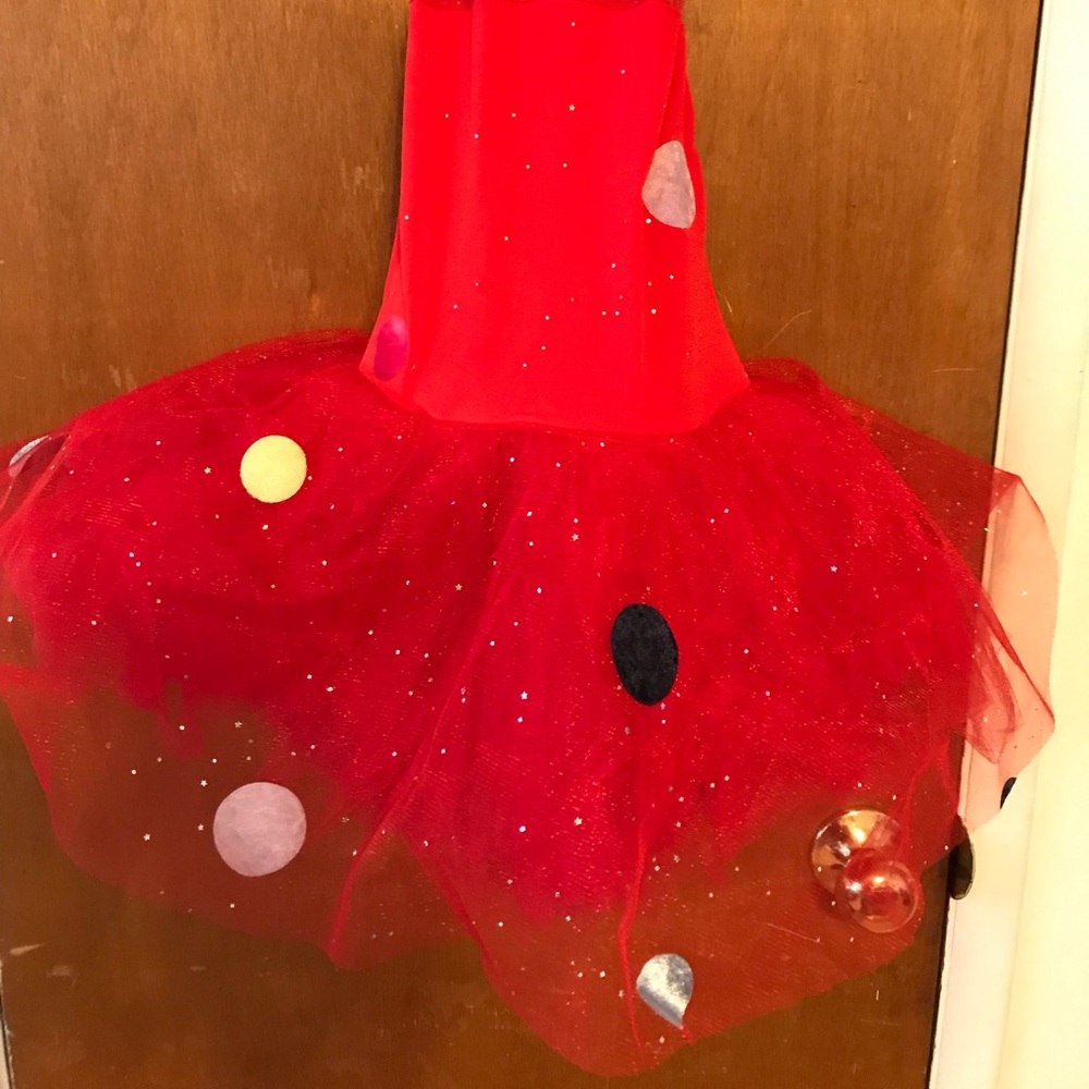 Dance costume: worn once